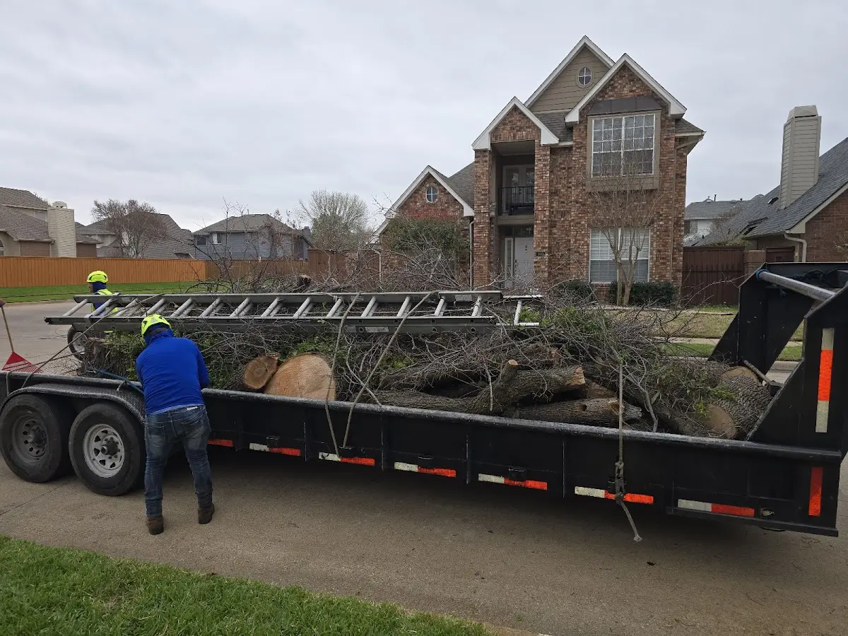 Expert Tree Removal with proper safety equipment in Henefer
